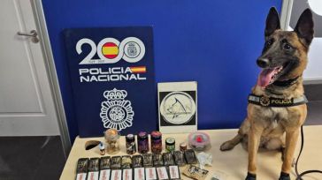 A Rex le ha salido competencia: La perra ‘Kata’ logra detener a tres personas por tráfico de drogas en Alicante