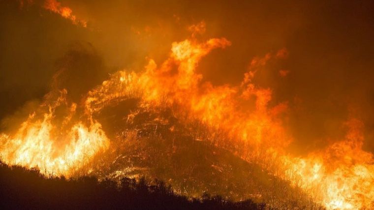 Deforestación: La espiral del fuego en los bosques