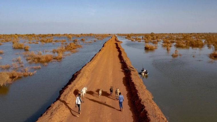 Desplazamiento forzado y desastres naturales: Un ciclo mortal que podría empeorar drásticamente