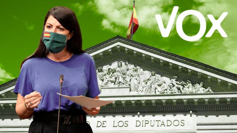 Vox advierte al Gobierno que recurrirá la 'totalitaria' Ley de Memoria Democrática ante el Tribunal Constitucional