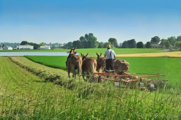 Joel Salatin nombrado asesor del USDA, impulsa la agricultura sostenible en EE.UU