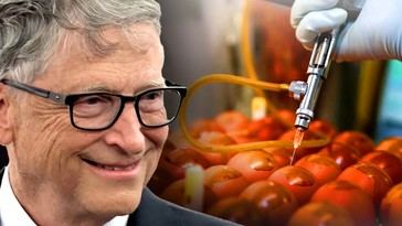 Bill Gates Implicated in Controversial Bird Flu Vaccine Scheme for U.S. Food Supply