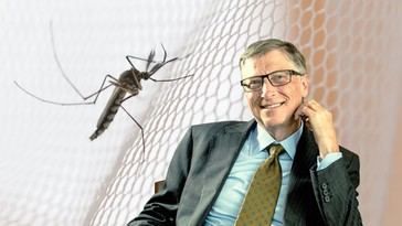 Bill Gates Invierte Millones en Mosquitos Genéticamente Modificados para Vacunas