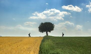 Convocan concurso de fotografía sobre medio ambiente en Europa