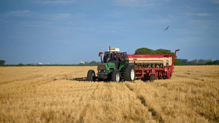 Argentina reduce temporalmente las retenciones al agro hasta junio