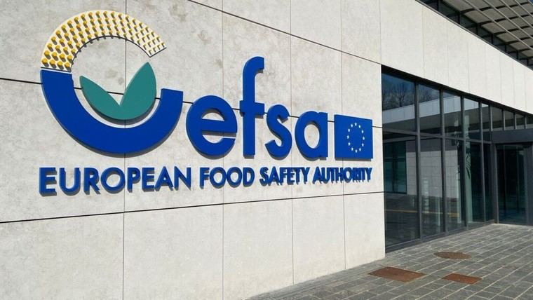 Consulta pública sobre el desempeño de EFSA hasta el 1 de abril de 2025