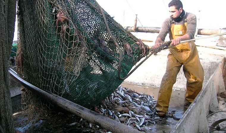 Andalucía se opone a la reducción de días de pesca propuestos por Europa