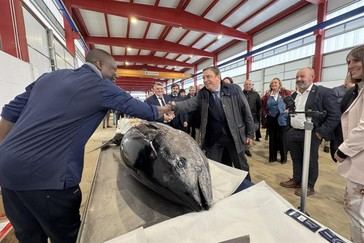 Planas resalta la importancia de las cofradías de pescadores en la economía social