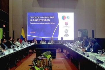 MIT participa activamente en la COP16 de Biodiversidad en Colombia