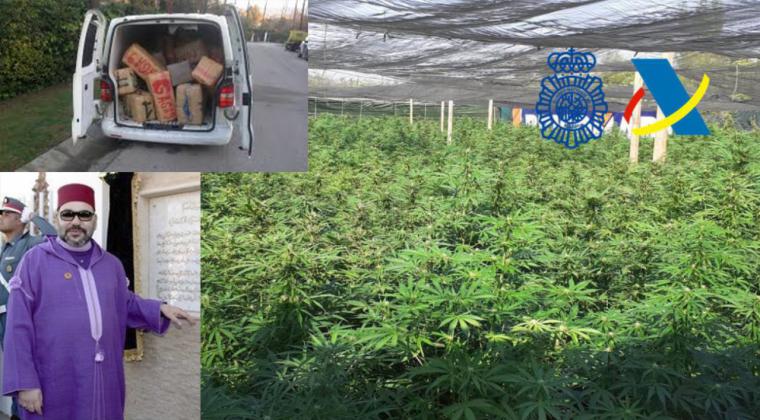 Marruecos muy molesto con las plantaciones de cannabis en España