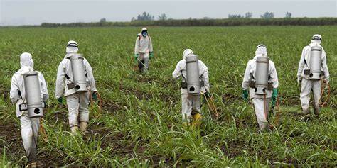 Monsanto fue declarada 'la corporación más malvada del mundo'