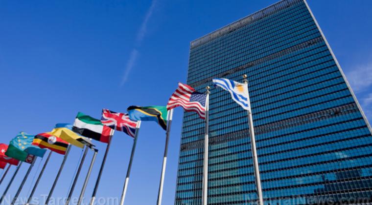 Plan de la ONU para acción global de vigilancia y censura