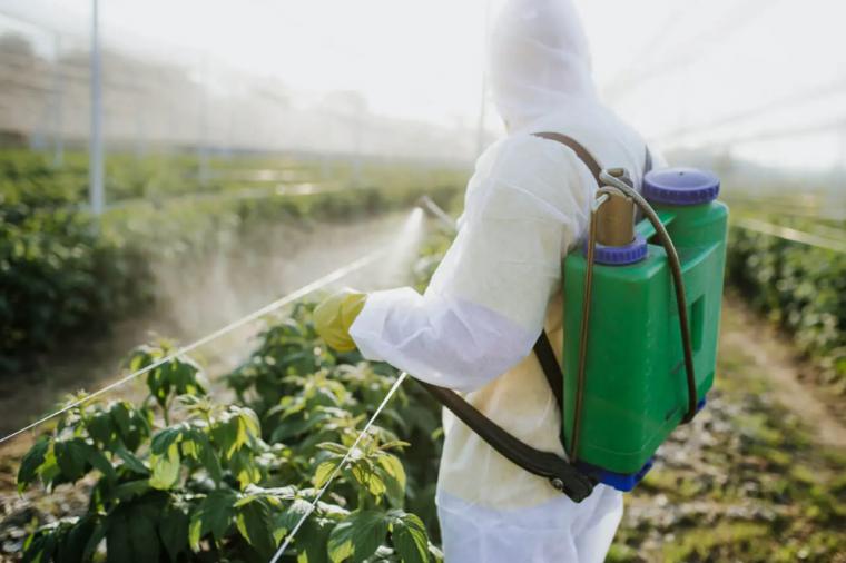 Los pesticidas comunes penetran a través de la piel y llegan a la pulpa en la fruta