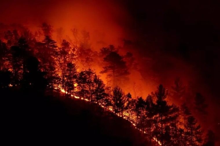 Emergencia en Carolina del Sur por incendios forestales masivos