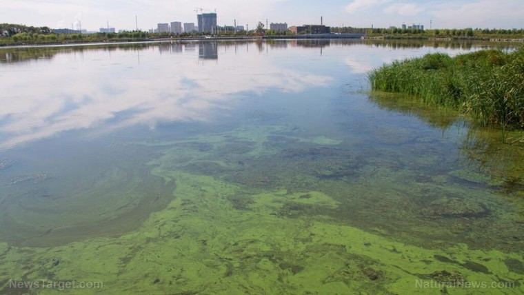 EPA alerta sobre riesgos a la salud por químicos tóxicos en lodos agrícolas