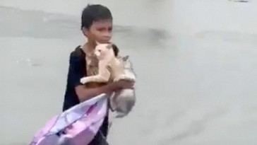 Niño salva a tres gatos durante inundación en Malasia