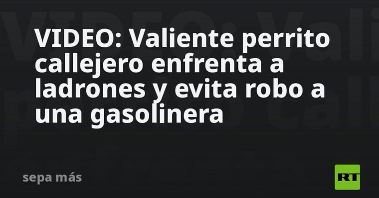 Perrito callejero frustra intento de robo en gasolinera